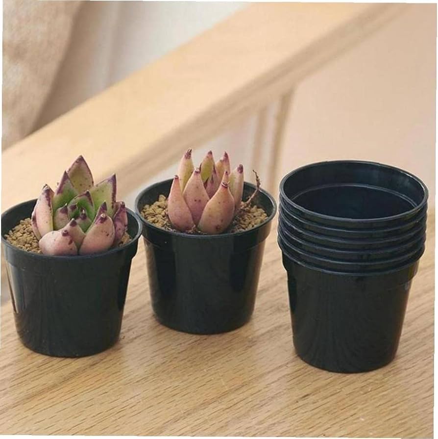 Amazon.co.jp: PiniceCore ミニ多肉植物ポット ミニ植物ポット